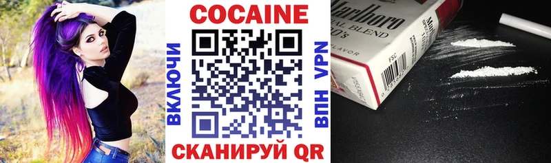 Cocaine FishScale  где купить   Петухово 