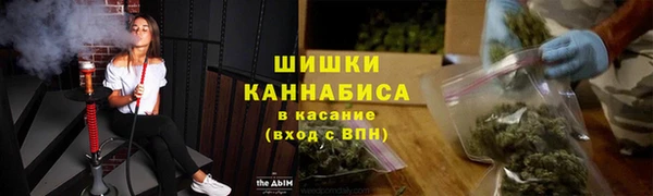 соль ск Белокуриха
