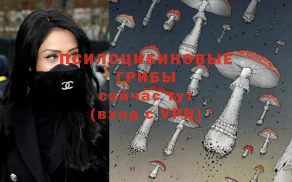 apvp Баксан