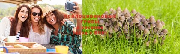 мяу мяу мука Беломорск