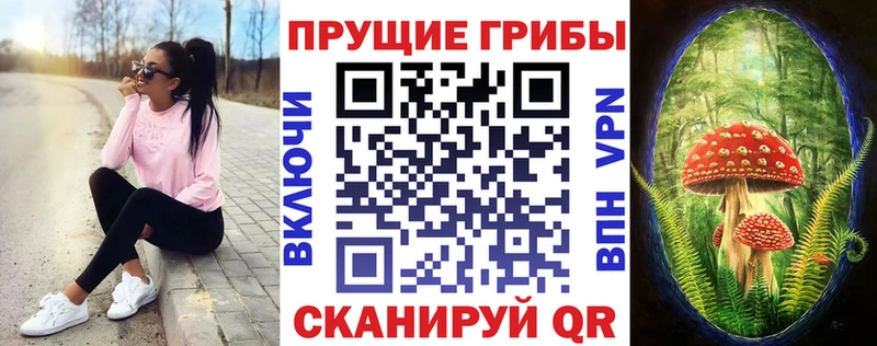ОМГ ОМГ рабочий сайт  купить наркотики сайты  Петухово  Псилоцибиновые грибы Psilocybe 